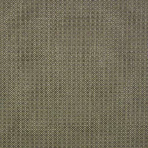 Esplanade Ginger Outdoor Fabric