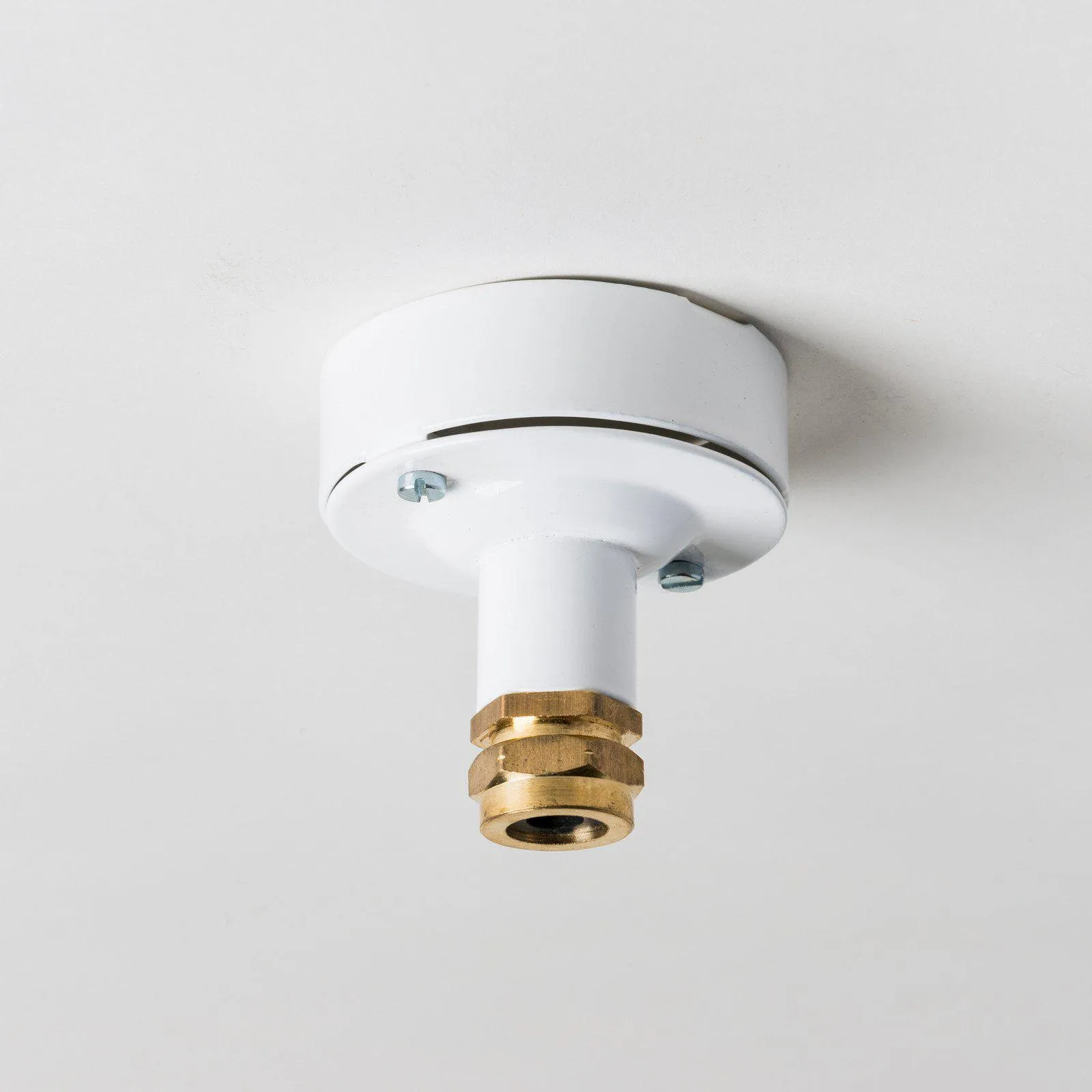 Industrial Ceiling Rose with Brass Gland - All Colours
