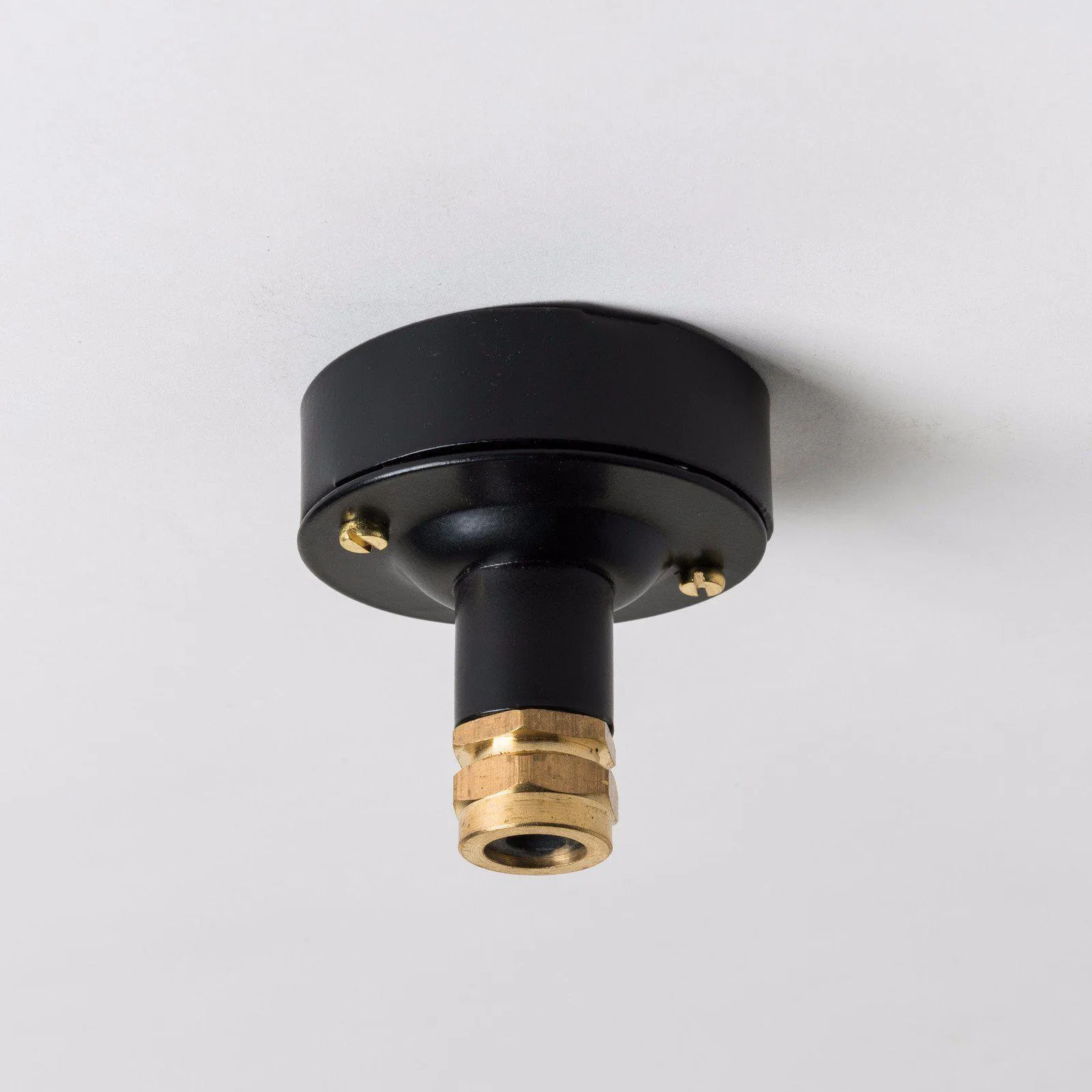 Industrial Ceiling Rose with Brass Gland - All Colours
