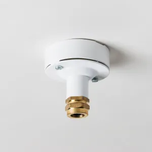 Industrial Ceiling Rose with Brass Gland - All Colours