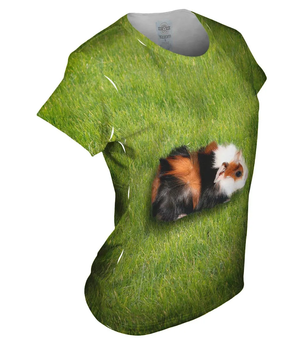 Robust Guinea Pig