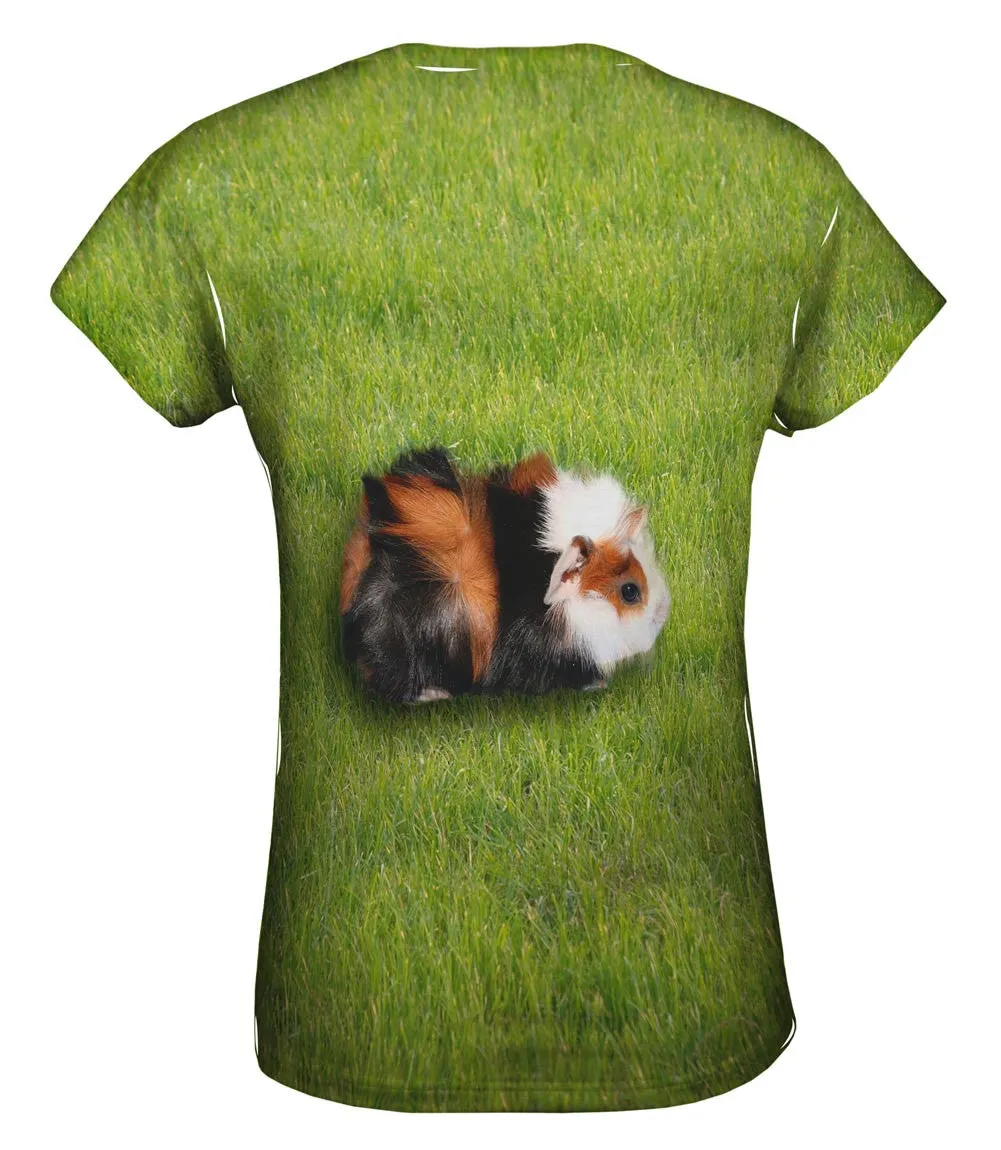 Robust Guinea Pig