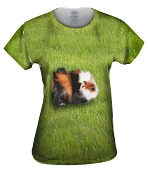 Robust Guinea Pig