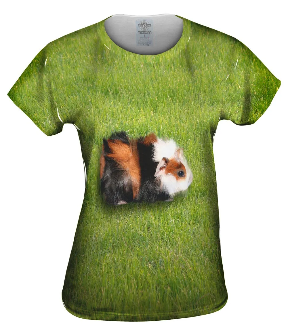 Robust Guinea Pig